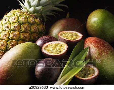 Tropical fruits nestled together View Large Photo Image Stock Image - Tropical fruits nestled together. Fotosearch