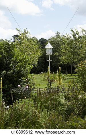 White birdhouse in lush garden View Large Photo Image Stock Image - White birdhouse in lush garden. Fotosearch