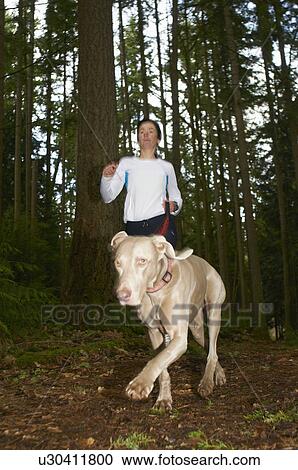 Woman jogging with dog in forest View Large Photo Image Stock Image - Woman jogging with dog in forest. Fotosearch