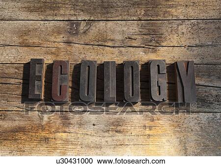 Stock Image - Wooden blocks spelling ecology. Fotosearch