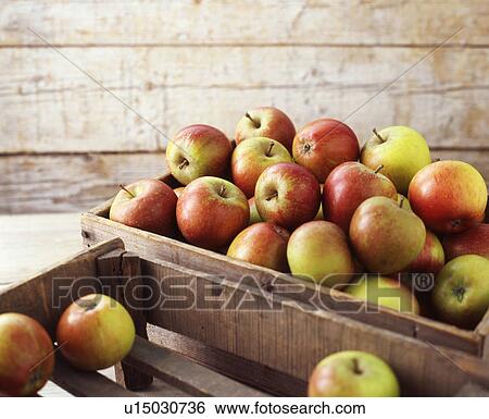 Stock Photograph - Wooden crates of organic apples. Fotosearch