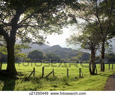 Stock Photo - Wooden fence in rural field. Fotosearch