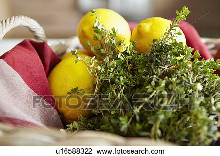 Basket of herbs and lemons View Large Photo Image Stock Image - Basket of herbs and lemons . Fotosearch