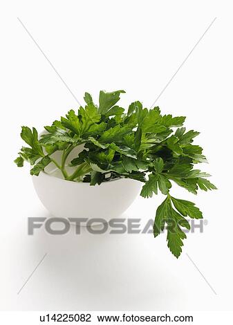 Stock Image - Close up of bowl of parsley. Fotosearch