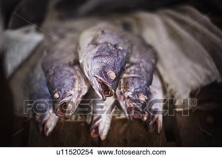 Picture - Close up of fish for sale. Fotosearch