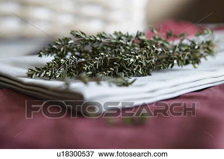 Close up of herbs on table View Large Photo Image Stock Photo - Close up of herbs on table. Fotosearch