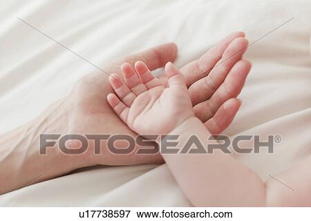 Close up of mother and babys hands View Large Photo Image Stock Photo - Close up of mother and babys hands. Fotosearch