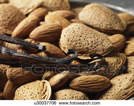 Close up of nuts and vanilla beans View Large Photo Image Stock Photograph - Close up of nuts and vanilla beans. Fotosearch