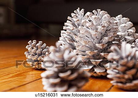 Close up of painted pine cones View Large Photo Image Stock Image - Close up of painted pine cones. Fotosearch