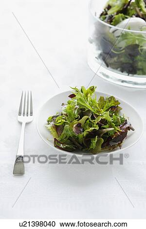 Close up of plate of green salad View Large Photo Image Stock Image - Close up of plate of green salad. Fotosearch