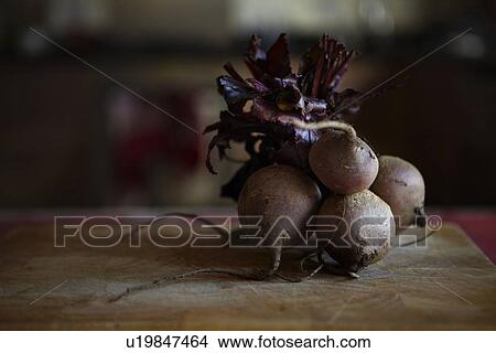 Close up of roots on table View Large Photo Image Picture - Close up of roots on table. Fotosearch