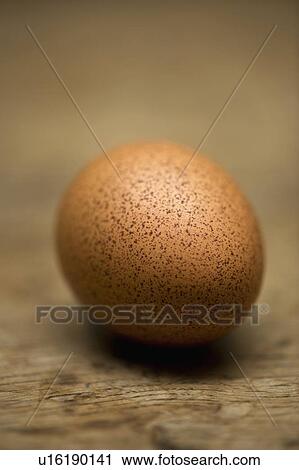 Close up of speckled egg View Large Photo Image Stock Image - Close up of speckled egg. Fotosearch