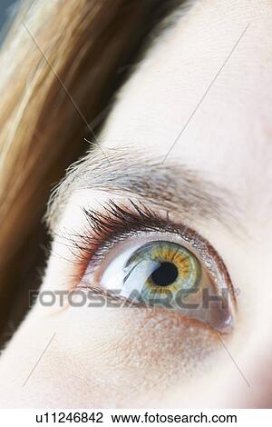 Close up of womans eye View Large Photo Image Stock Image - Close up of womans eye. Fotosearch