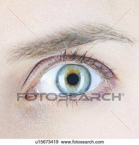 Close up of womans eye View Large Photo Image Stock Photo - Close up of womans eye. Fotosearch