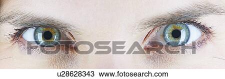 Close up of womans eyes View Large Photo Image Stock Image - Close up of womans eyes. Fotosearch