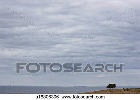 Cloudy sky over coastline View Large Photo Image Stock Photograph - Cloudy sky over coastline. Fotosearch