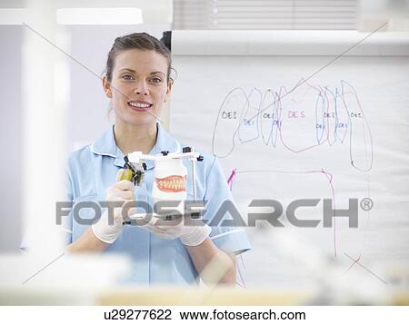 Dentist holding model of teeth in lab View Large Photo Image Stock Image - Dentist holding model of teeth in lab. Fotosearch