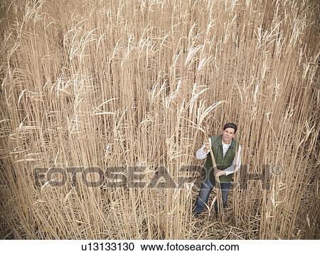 Farmer holding bunch of elephant grass View Large Photo Image Stock Image - Farmer holding bunch of elephant grass. Fotosearch