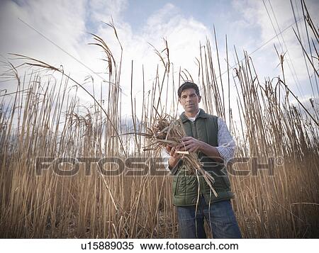 Stock Photography - Farmer holding bunch of elephant grass. Fotosearch