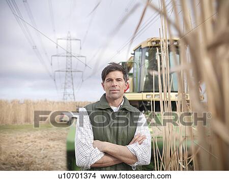 Farmer with tractor in elephant grass View Large Photo Image Picture - Farmer with tractor in elephant grass. Fotosearch