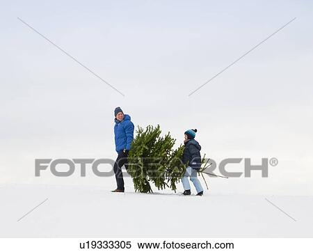 Father and son carrying Christmas tree View Large Photo Image Stock Photography - Father and son carrying Christmas tree. Fotosearch