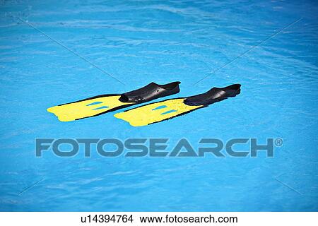 Fins floating in swimming pool View Large Photo Image Picture - Fins floating in swimming pool. Fotosearch