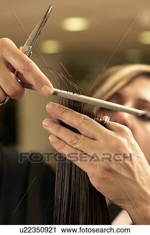 Hair stylist cutting clients hair View Large Photo Image Stock Image - Hair stylist cutting clients hair. Fotosearch