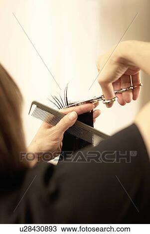 Hair stylist cutting clients hair View Large Photo Image Stock Image - Hair stylist cutting clients hair. Fotosearch