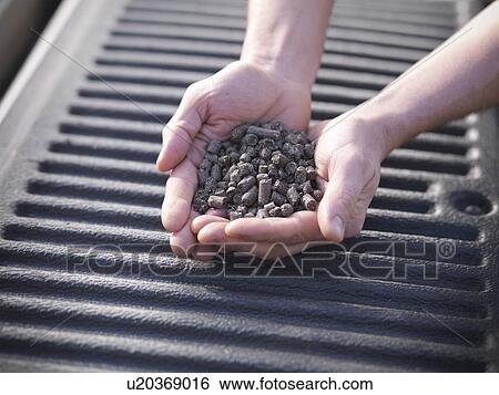 Hands holding pile of burned wood chips View Large Photo Image Stock Photograph - Hands holding pile of burned wood chips. Fotosearch
