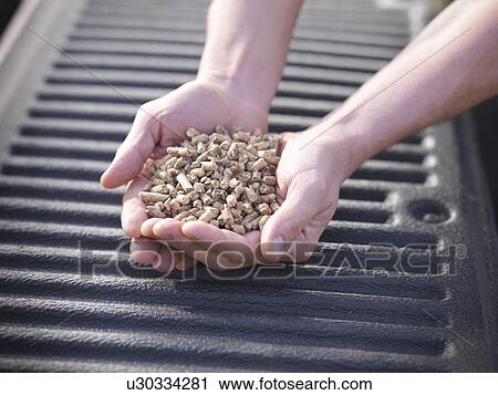Stock Image - Hands holding pile of wood chips. Fotosearch