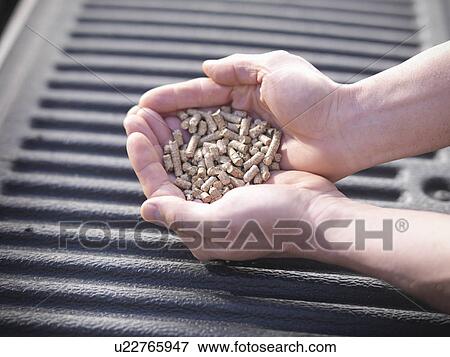 Stock Photo - Hands holding pile of wood chips. Fotosearch
