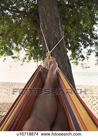Picture - Mans feet relaxing in hammock. Fotosearch