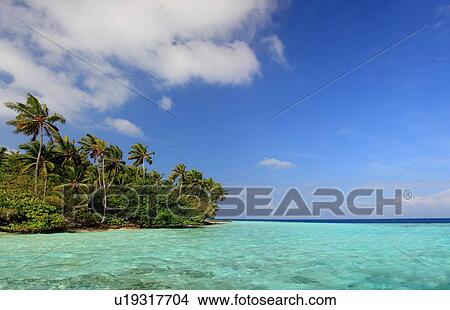 Palm trees on tropical coastline View Large Photo Image Picture - Palm trees on tropical coastline. Fotosearch