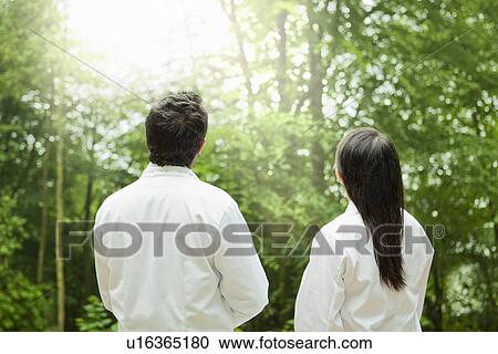 Scientists admiring forest trees View Large Photo Image Stock Image - Scientists admiring forest trees. Fotosearch