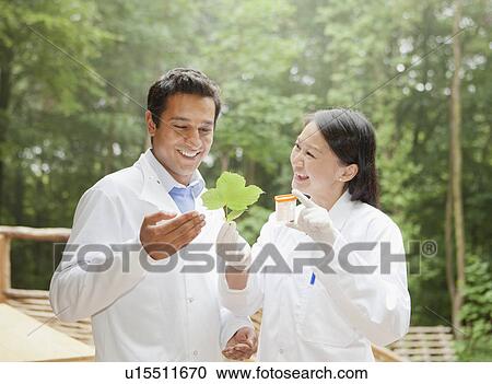 Scientists examining leaf outdoors View Large Photo Image Stock Image - Scientists examining leaf outdoors. Fotosearch