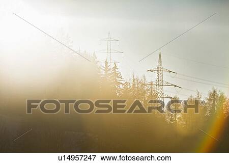 Stock Photo - Telephone poles over trees. Fotosearch