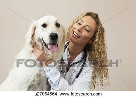 Picture - Veterinarian petting dog in office. Fotosearch