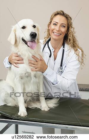 Veterinarian petting dog in office View Large Photo Image Stock Image - Veterinarian petting dog in office. Fotosearch