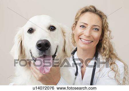 Veterinarian petting dog in office View Large Photo Image Stock Photograph - Veterinarian petting dog in office. Fotosearch