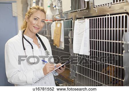 Veterinarian reading animals chart View Large Photo Image Stock Image - Veterinarian reading animals chart. Fotosearch