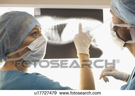 Stock Photo - Veterinarians examining x-rays in office. Fotosearch
