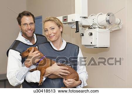 Stock Image - Veterinarians petting dog in office. Fotosearch
