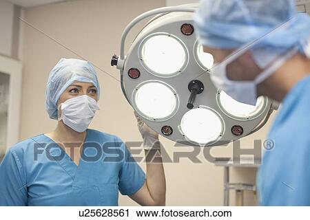 Veterinary surgeons working together View Large Photo Image Stock Image - Veterinary surgeons working together. Fotosearch