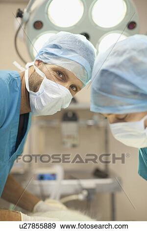 Veterinary surgeons working together View Large Photo Image Stock Photo - Veterinary surgeons working together. Fotosearch