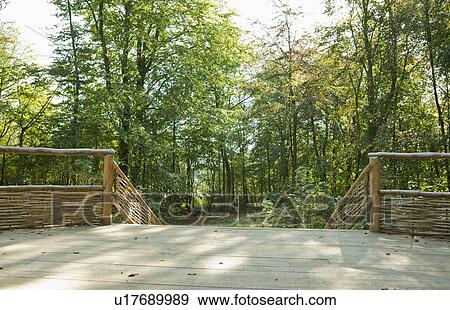 Wooden platform with steps in forest View Large Photo Image Stock Photo - Wooden platform with steps in forest. Fotosearch