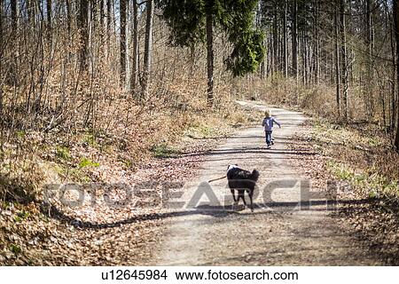 Boy and dog on dirt path in forest View Large Photo Image Picture - Boy and dog on dirt path in forest. Fotosearch
