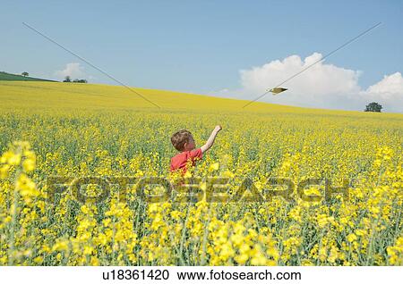 Boy playing with paper airplane in field View Large Photo Image Stock Image - Boy playing with paper airplane in field. Fotosearch