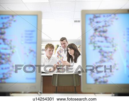 Chemistry students examining models View Large Photo Image Stock Image - Chemistry students examining models. Fotosearch