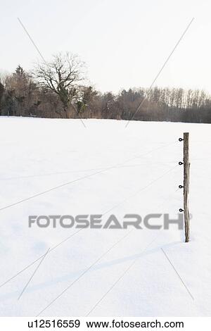Fence post in snowy field View Large Photo Image Stock Photo - Fence post in snowy field. Fotosearch