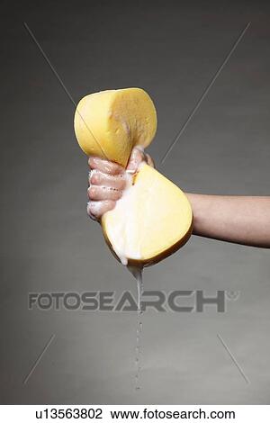 Hand squeezing soapy sponge View Large Photo Image Stock Image - Hand squeezing soapy sponge. Fotosearch